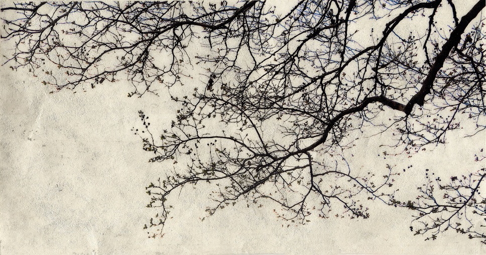 early spring