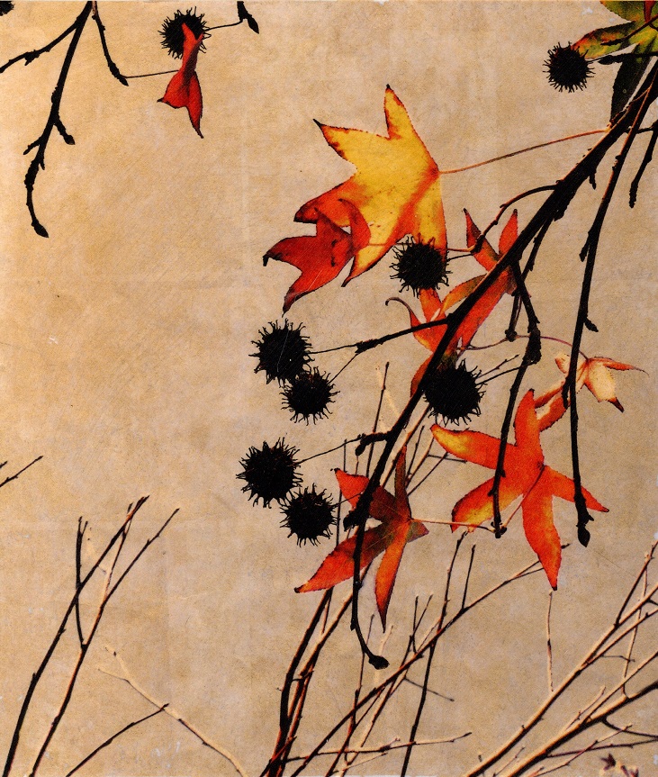 autumn 1