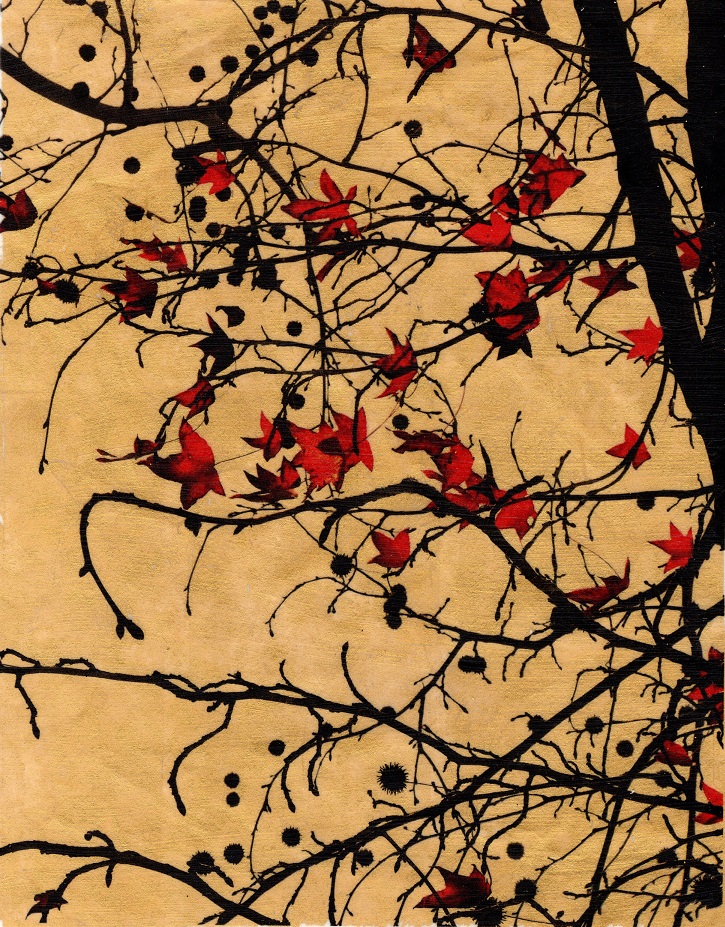autumn 7